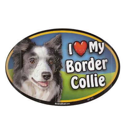 Dog Breed Image Magnet Oval Border Collie