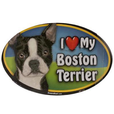 Dog Breed Image Magnet Oval Boston Terrier