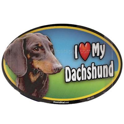 Dog Breed Image Magnet Oval Dachshund