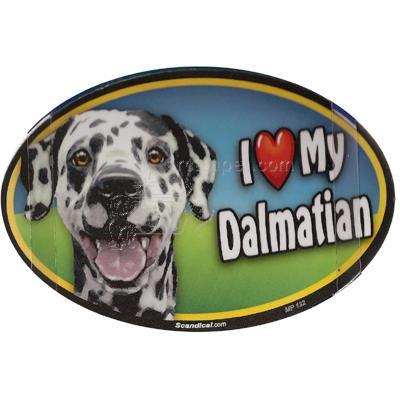 Dog Breed Image Magnet Oval Dalmatian