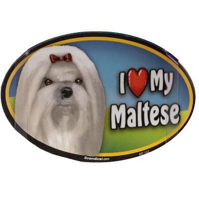 Dog Breed Image Magnet Oval Maltese