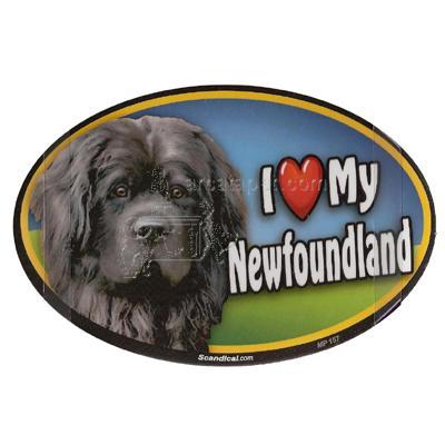 Dog Breed Image Magnet Oval Newfoundland