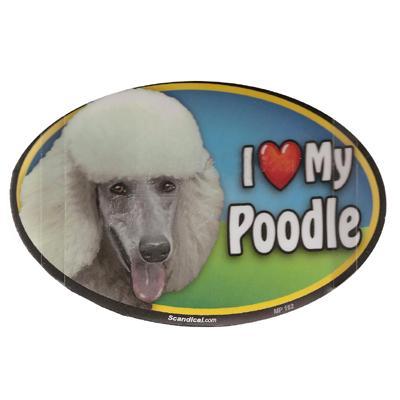 Dog Breed Image Magnet Oval Poodle White