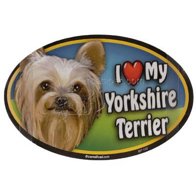 Dog Breed Image Magnet Oval Yorkshire Terrier