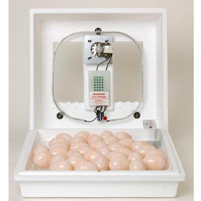 Little Giant Forced Air Incubator Little Giant Forced Air Incubator