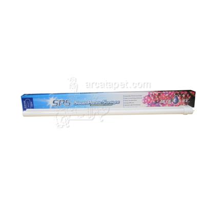 Blue Life 65watt 10000°K Compact Flourescent Bulb Blue Life 65watt 10000°K Compact Flourescent Bulb