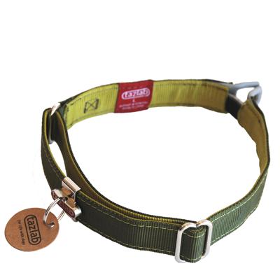 Tazlab Safe-T-Stretch Large Green Dog Safety Collar Tazlab Safe-T-Stretch Large Green Dog Safety Collar