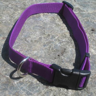 Nylon Dog Collar Adjustable 5/8-inch Purple Nylon Dog Collar Adjustable 5/8-inch Purple