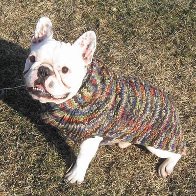 Handmade Dog Sweater Wool Multi-Colored Shawl XXLarge Handmade Dog Sweater Wool Multi-Colored Shawl XXLarge