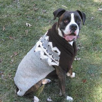 Handmade Dog Sweater Wool Aspen Grey XXSmall Handmade Dog Sweater Wool Aspen Grey XXSmall