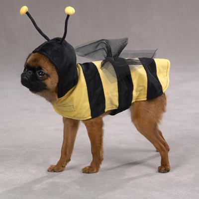 Dog Costume Bee Xsmall Dog Costume Bee Xsmall