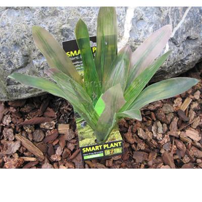 Exo Terra Bromelia Large Tree Frog Terrarium Plant Exo Terra Bromelia Large Tree Frog Terrarium Plant