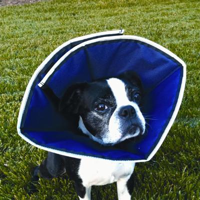 ProCone Soft Elizabethan Small Collar for Dogs ProCone Soft Elizabethan Small Collar for Dogs