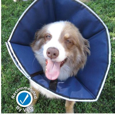 ProCone Soft Elizabethan Large Collar for Dogs ProCone Soft Elizabethan Large Collar for Dogs