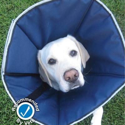 ProCone Soft Elizabethan XLarge Collar for Dogs ProCone Soft Elizabethan XLarge Collar for Dogs