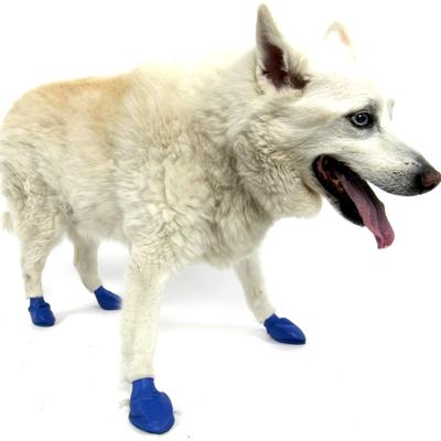 Pawz Natural Rubber Dog Boot Medium 12pk Pawz Natural Rubber Dog Boot Medium 12pk