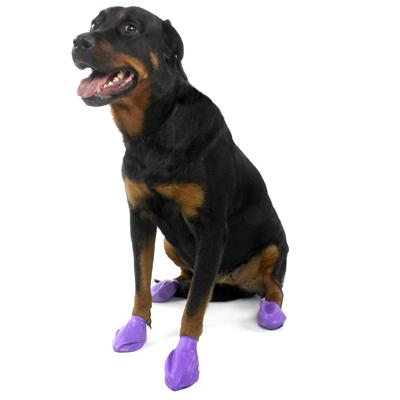 Pawz Natural Rubber Dog Boot Large 12pk Pawz Natural Rubber Dog Boot Large 12pk