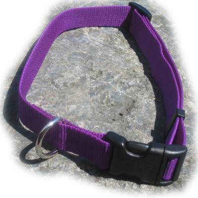 Nylon Dog Collar Adjustable 1-inch Purple Nylon Dog Collar Adjustable 1-inch Purple