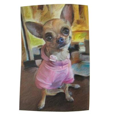 Robert McClintock Licensed Garden Flag Chihuahua Robert McClintock Licensed Garden Flag Chihuahua