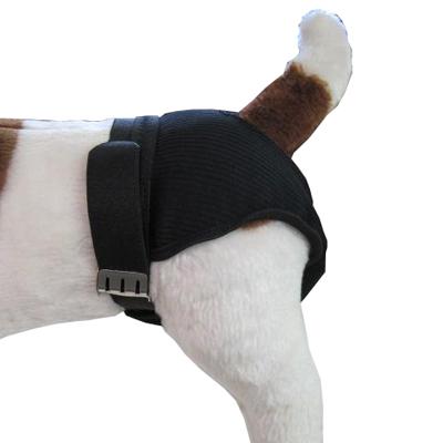 Sanitary Pants Garment for Female Dogs in Heat Medium Sanitary Pants Garment for Female Dogs in Heat Medium