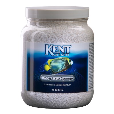 Kent Marine Aquarium Phosphate Sponge Filter Media 2 Quart Kent Marine Aquarium Phosphate Sponge Filter Media 2 Quart