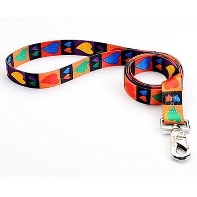 NTuff-Lock Large Hearts Nylon Leash 3/4 NTuff-Lock Large Hearts Nylon Leash 3/4