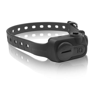 Dogtra iQ No Bark Dog Collar Black Dogtra iQ No Bark Dog Collar Black