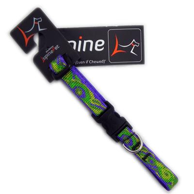 Dog Collar Adjustable Nylon Big Easy 6-9 1/2 inch wide Dog Collar Adjustable Nylon Big Easy 6-9 1/2 inch wide
