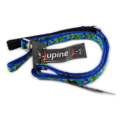 Lupine Nylon Dog Leash 6-foot x 3/4-inch Earth Day Lupine Nylon Dog Leash 6-foot x 3/4-inch Earth Day