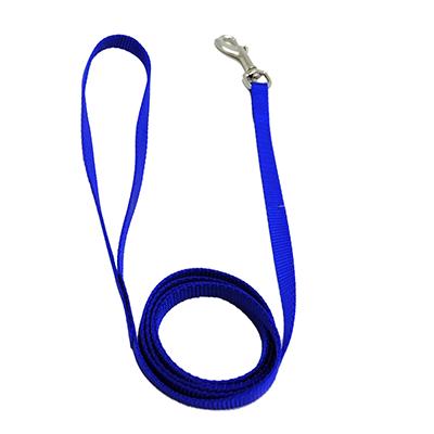 Nylon Dog Leash 3/8-inch x 4 foot Blue Nylon Dog Leash 3/8-inch x 4 foot Blue