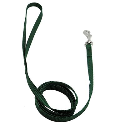Nylon Dog Leash 3/8-inch x 6 foot Green Nylon Dog Leash 3/8-inch x 6 foot Green