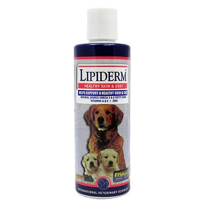 Lipiderm 8 ounce Liquid Dog Skin and Coat Supplement Lipiderm 8 ounce Liquid Dog Skin and Coat Supplement