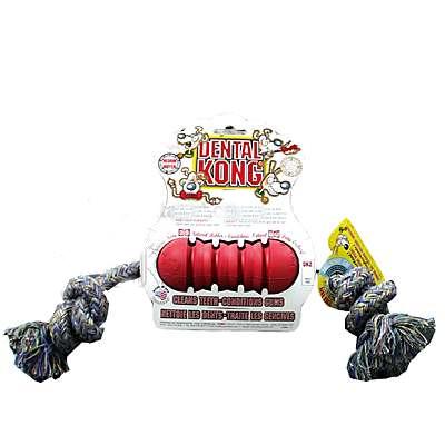 Kong Dental Kong Medium Dog Toy Kong Dental Kong Medium Dog Toy