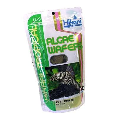 Hikari Tropical Algae Wafers Fish Food 8.8-oz. Hikari Tropical Algae Wafers Fish Food 8.8-oz.