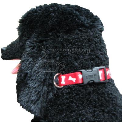 Nylon Dog Collar Adjustable 1-inch Bone Red Nylon Dog Collar Adjustable 1-inch Bone Red
