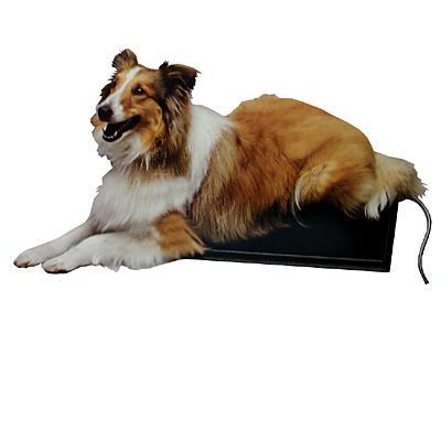 K & H Lectro Kennel Heated Dog Pad Medium 16x22 inches K & H Lectro Kennel Heated Dog Pad Medium 16x22 inches