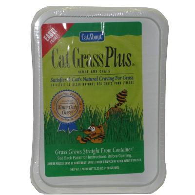 Cat Grass Plus with tray Cat Grass Plus with tray