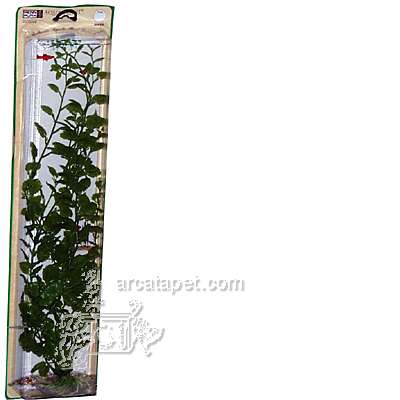 Cardamine Super Plastic Aquarium Plant Cardamine Super Plastic Aquarium Plant