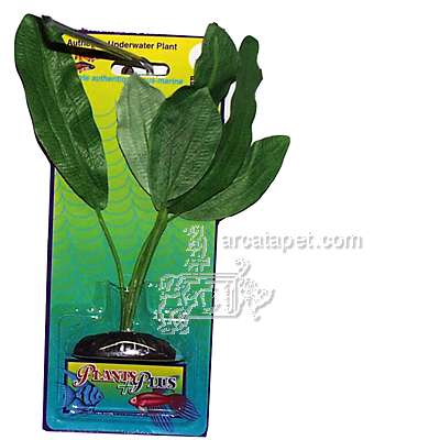 Amazon Sword Medium Plastic Aquarium Plant