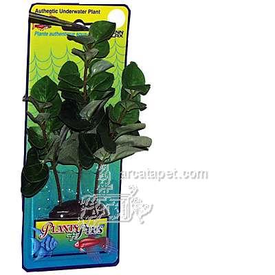 Bacopa Medium Plastic Aquarium Plant Bacopa Medium Plastic Aquarium Plant