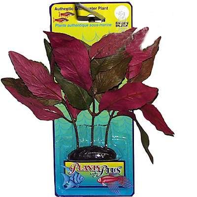 Hygrophila Medium Plastic Aquarium Plant