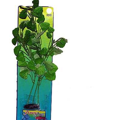 Cardamine XLarge Plastic Aquarium Plant Cardamine XLarge Plastic Aquarium Plant