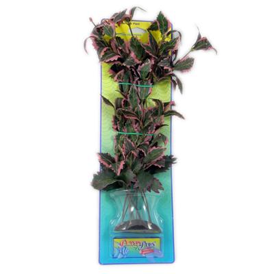 Rotala Serrate Bushy Plastic Aquarium Plant