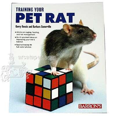 Training Your Pet Rat Book Training Your Pet Rat Book
