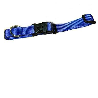 Nylon Dog Collar Adjustable 5/8-inch Blue Nylon Dog Collar Adjustable 5/8-inch Blue