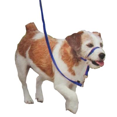 Premier Gentle Leader Dog Head Collar Small Blue