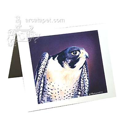 Note Card Peregrine Falcon Note Card Peregrine Falcon