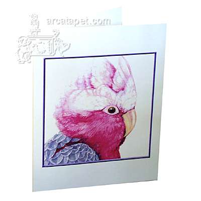 Note Card Rose Breasted Too Note Card Rose Breasted Too