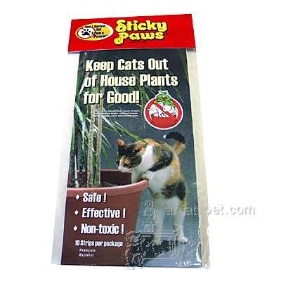 Sticky Paws for Plants Sticky Paws for Plants