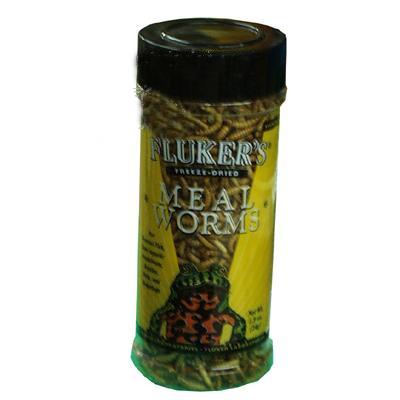Freeze Dried Mealworms for Birds Reptiles and Fish